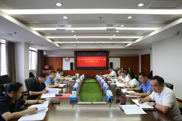 澧水公司党组理论学习中心组开展主题教育第四次集中学习研讨
